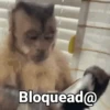 Bloquead@