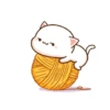 COMELL KUCING  14