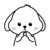 Adorable perrito mov 16