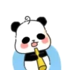 Panda Cute 136 Mov.1712 15