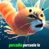 porcodio porcuala la
