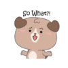 Mocapi puppy 🐶♥Mov 16