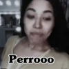 Perrooo