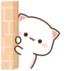 MOCHIS🐈CAT Especial V MOV 17