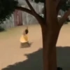 Dontol gif 15