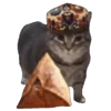 Memes Michis Random🐈‍⬛🐈🐾 14