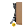 😸😽 Miau Miau 😽😸 12