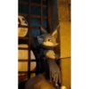 Kung fu panda gifs 8