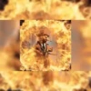 tiktok brainrot 🤖 11