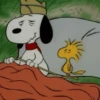 🦴🏠 SNOOPY 5 🏠🦴 29