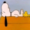 🦴🏠 SNOOPY 5 🏠🦴 14