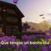 El mundo de Minecraft 🏡⚒️ 8