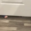 Niños ✨🧒🏻👧🏻 11