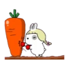 A DaY Of RaBbItS 15