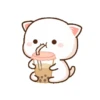 PREMAN KUCING 7