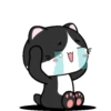 Baby Tuxedo Cat 2 .MOV 15