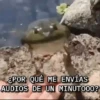 ¿POR QUÉ ME ENVÍAS AUDIOS DE UN MINUTO00?