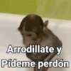 Arrodillate y Pídeme perdón