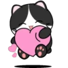 Baby Tuxedo Cat 2 .MOV 17
