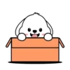 Adorable perrito mov 17