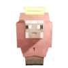 Minecraft🎮🟩🟨🟧 13