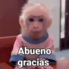 Abueno gracias
