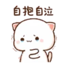 Kucing imut 11