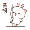 Kucing imut 10