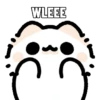 Myaowl 15