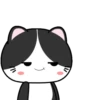 Baby Tuxedo Cat 2 .MOV 18