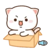 MOCHIS🐈CAT Especial V MOV 20