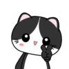 Baby Tuxedo Cat 2 .MOV 19