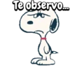 Snoopy ⚪⚫ 15