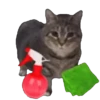 Memes Michis Random🐈‍⬛🐈🐾 9