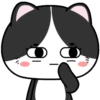 Baby Tuxedo Cat 2 .MOV 20