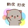 Kucing imut 5