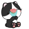 Baby Tuxedo Cat 2 .MOV 21