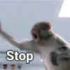 Stop