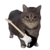 Memes Michis Random🐈‍⬛🐈🐾 8