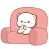 MOCHIS🐈CAT Especial V MOV 21