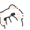 Myaowl 9