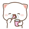 MOCHIS🐈CAT Especial V MOV 22