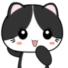 Baby Tuxedo Cat 2 .MOV 22