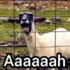 Aaaaaah