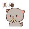Kucing imut 13
