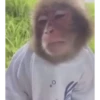 MONKEYYYY 19