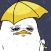 वर्षा - क्या वहाँ वर्षा हो रही है? 🌧️ 13
