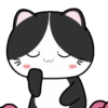 Baby Tuxedo Cat 2 .MOV 23