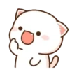 MOCHIS🐈CAT Especial V MOV 23