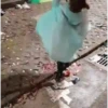 वर्षा - क्या वहाँ वर्षा हो रही है? 🌧️ 8